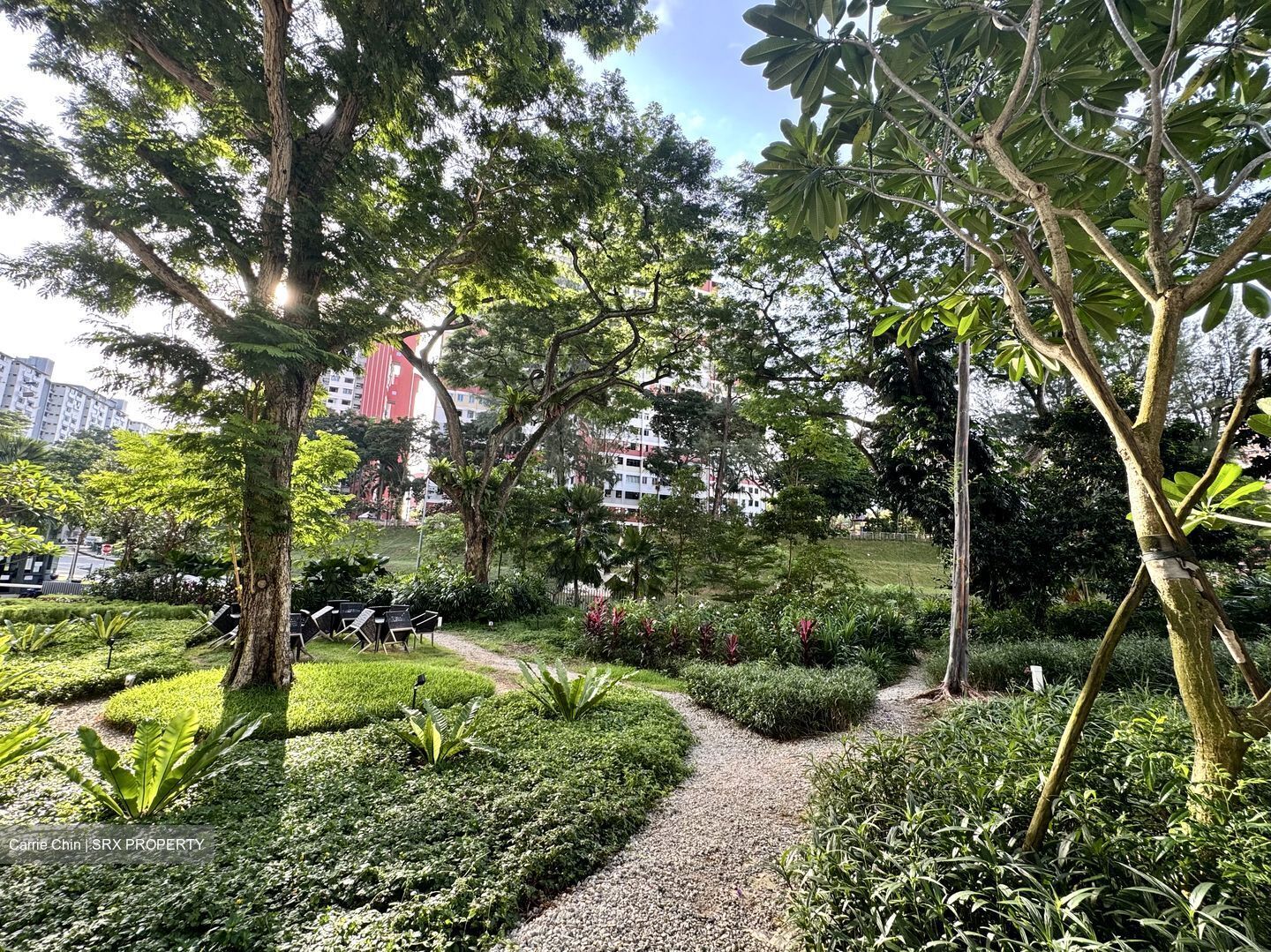 Stirling Residences (D3), Apartment #491808551